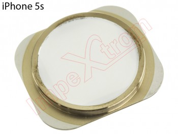 Gold and white Home Button for Apple Phone 5S / SE (2016) A1662, A1723, A1724