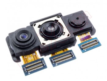Rear cameras for Samsung Galaxy A21s (SM-A217/DSN)