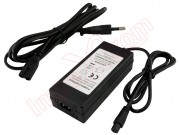 48v-and-2a-battery-charger-for-electric-scooter