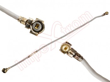 Cable coaxial RF Blanco LG D820, LG D821 - (Google Nexus 5)