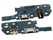 service-pack-auxiliary-board-with-charging-data-and-accesories-connector-usb-type-c-and-audio-jack-connector-for-samsung-galaxy-a20e-sm-a202f