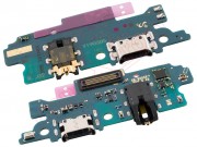 placa-auxiliar-service-pack-con-micr-fono-conector-de-carga-datos-y-accesorios-usb-tipo-c-y-conector-de-audio-jack-3-5-mm-para-samsung-galaxy-m20-sm-m205fn