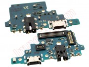 service-pack-auxiliary-plate-with-microphone-usb-type-c-charging-connector-and-3-5mm-audio-jack-for-samsung-galaxy-note-10-lite