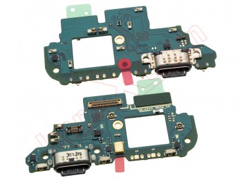 Service Pack Auxiliary plate with USB type C charging connector and microphone for Samsung Galaxy A54 5G
