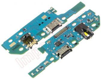 PREMIUM PREMIUM quality auxiliary boards with charging, data and accesories connector USB type C for Samsung Galaxy A20e (SM-A202F)